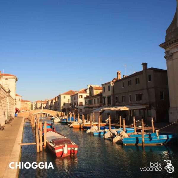 chioggia