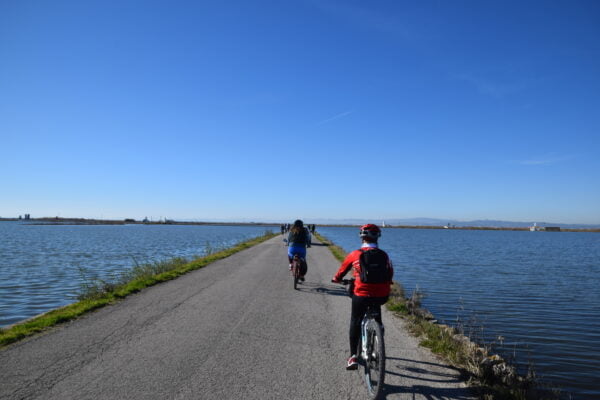 mare bici