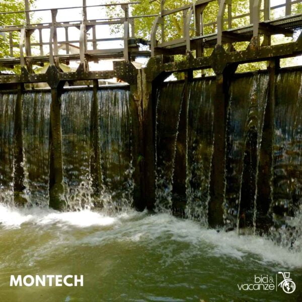 montech