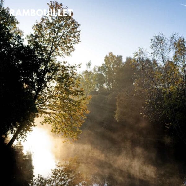 foresta francia