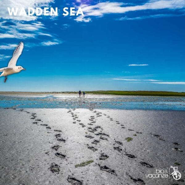 wadden